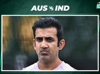 侵略性的 侵略性的