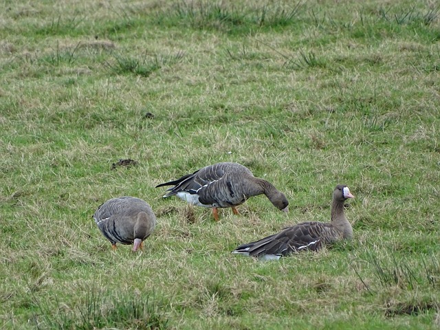 汲取失败中 汲取失败中