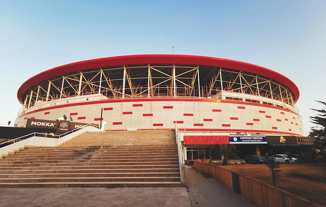 曼巴精神 曼巴精神